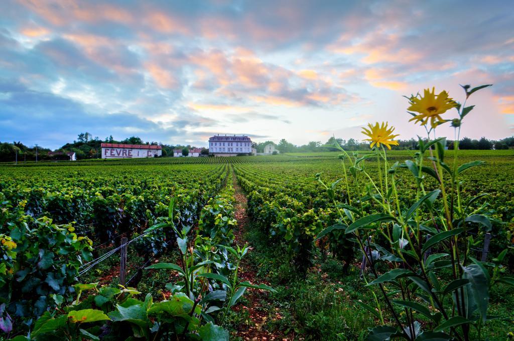 Gites Chateau Comblanchien Exterior foto